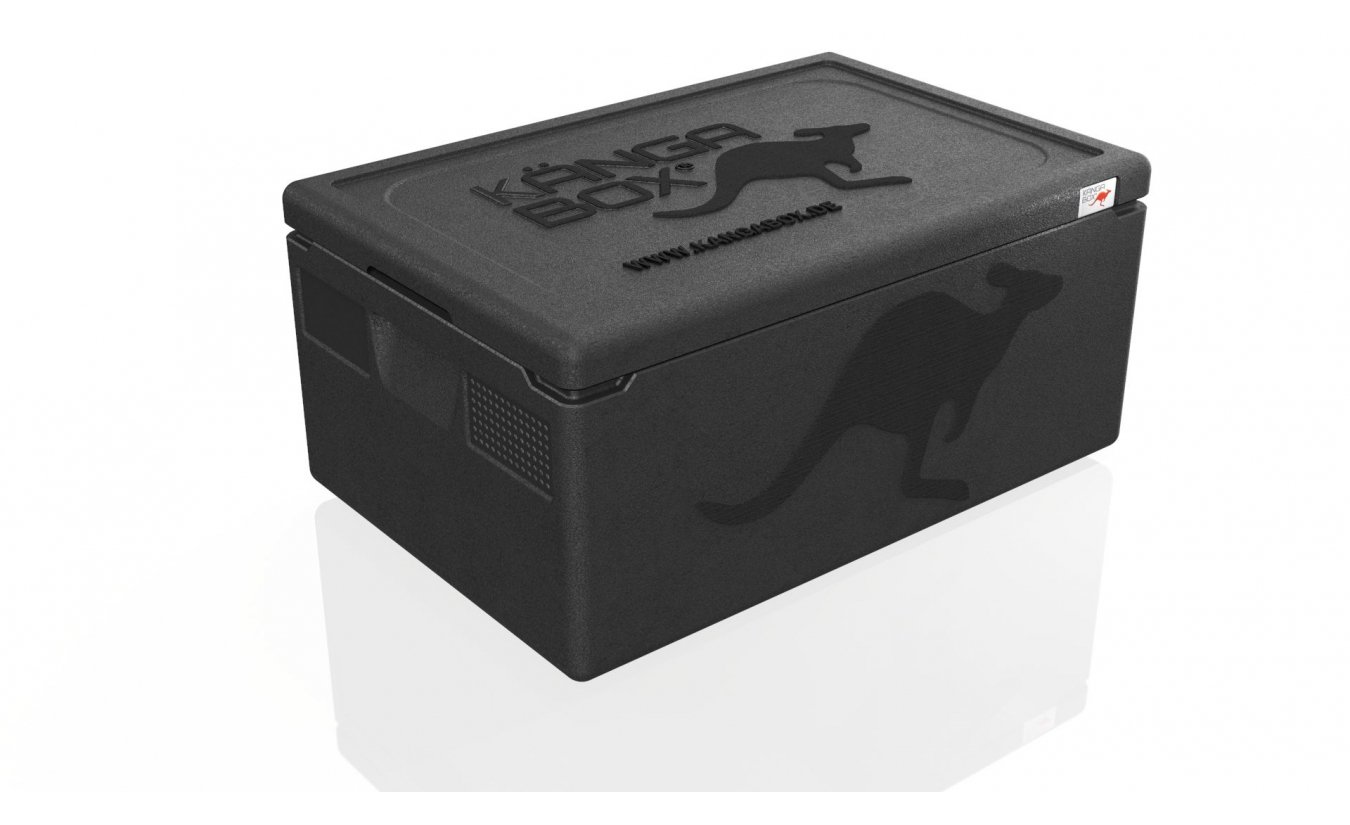 KÄNGABOX® EX1217SZ Expert GN 1/1 (39 liter) thermobox schuin zijaanzicht